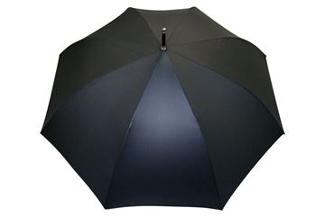 Parapluie Monochrome